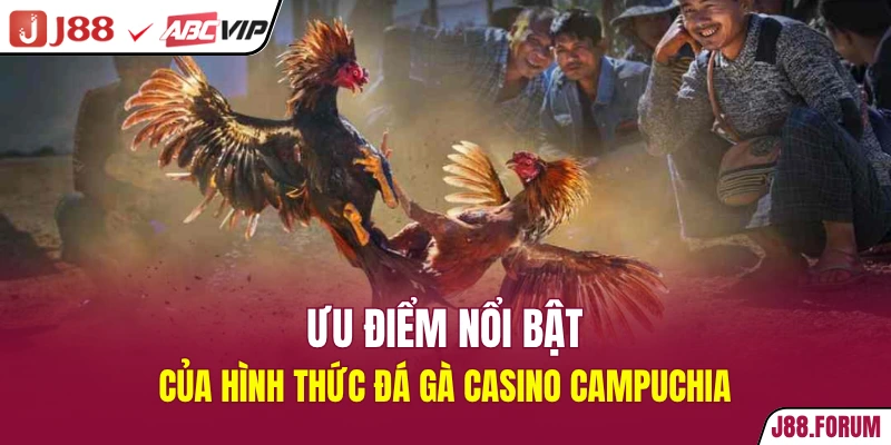 Ưu điểm nổi bật của hình thức đá gà casino Campuchia